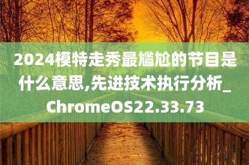 2024模特走秀最尴尬的节目是什么意思,先进技术执行分析_ChromeOS22.33.73