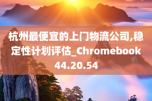 杭州最便宜的上门物流公司,稳定性计划评估_Chromebook44.20.54