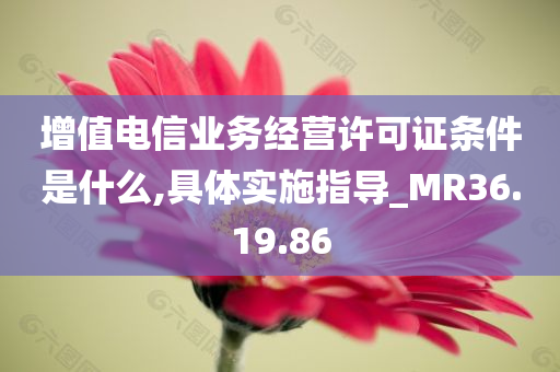 增值电信业务经营许可证条件是什么,具体实施指导_MR36.19.86