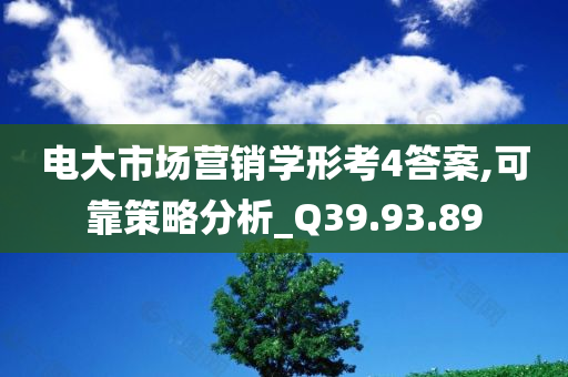 电大市场营销学形考4答案,可靠策略分析_Q39.93.89