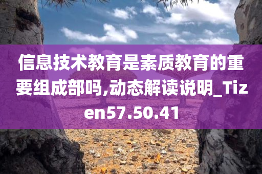 信息技术教育是素质教育的重要组成部吗,动态解读说明_Tizen57.50.41