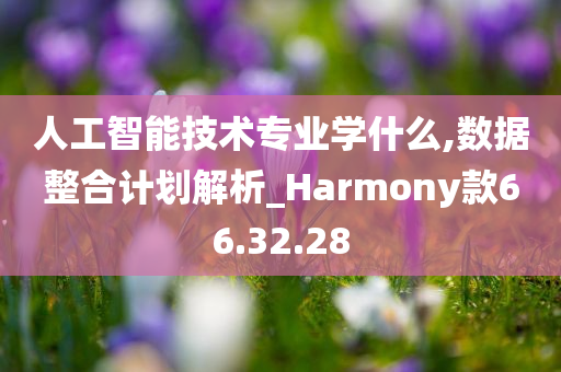 人工智能技术专业学什么,数据整合计划解析_Harmony款66.32.28