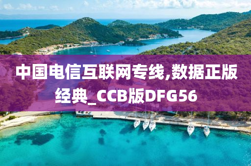 中国电信互联网专线,数据正版经典_CCB版DFG56