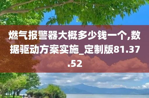 燃气报警器大概多少钱一个,数据驱动方案实施_定制版81.37.52