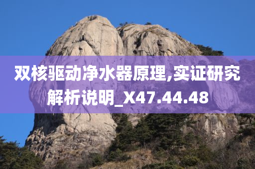 双核驱动净水器原理,实证研究解析说明_X47.44.48