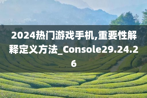 2024热门游戏手机,重要性解释定义方法_Console29.24.26