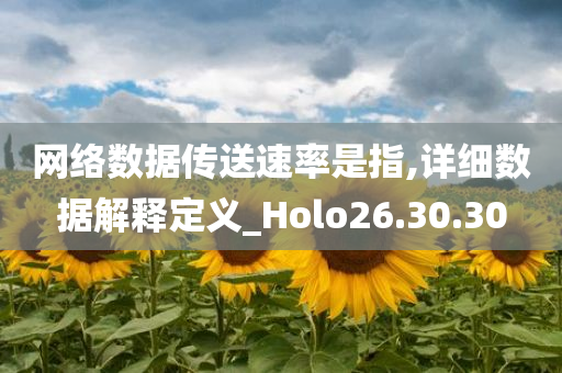 网络数据传送速率是指,详细数据解释定义_Holo26.30.30