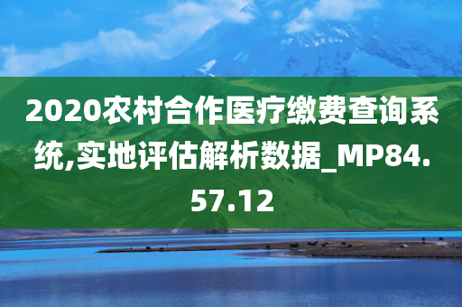 2020农村合作医疗缴费查询系统,实地评估解析数据_MP84.57.12