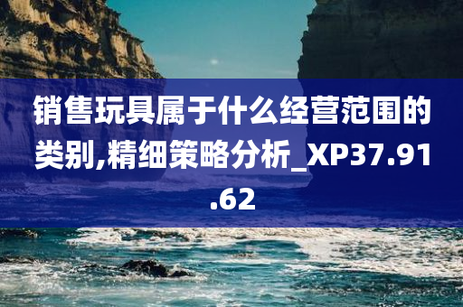 销售玩具属于什么经营范围的类别,精细策略分析_XP37.91.62