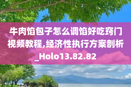 牛肉馅包子怎么调馅好吃窍门视频教程,经济性执行方案剖析_Holo13.82.82