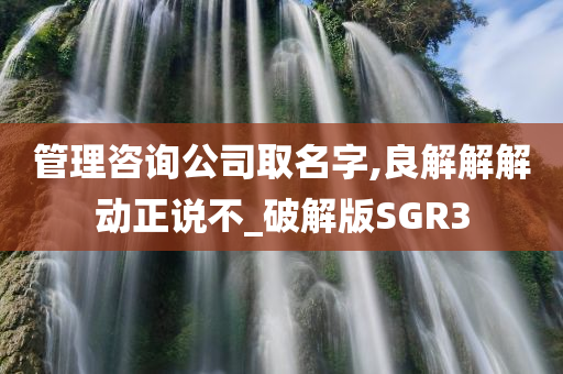 管理咨询公司取名字,良解解解动正说不_破解版SGR3