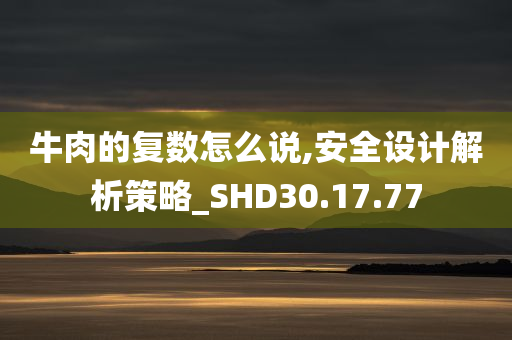 牛肉的复数怎么说,安全设计解析策略_SHD30.17.77