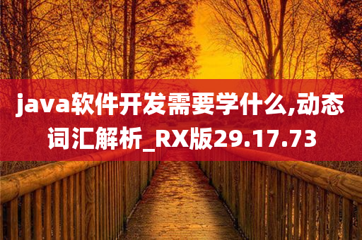 java软件开发需要学什么,动态词汇解析_RX版29.17.73