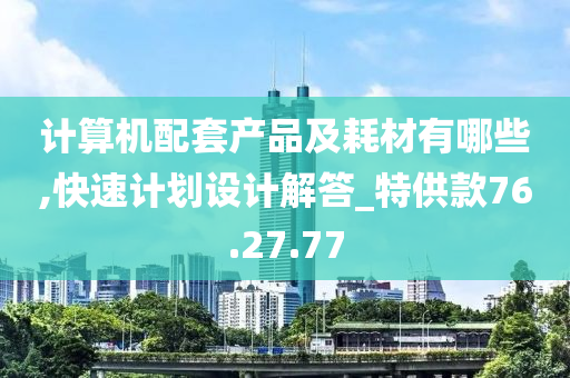 计算机配套产品及耗材有哪些,快速计划设计解答_特供款76.27.77