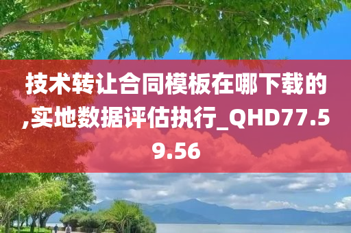 技术转让合同模板在哪下载的,实地数据评估执行_QHD77.59.56