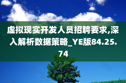 虚拟现实开发人员招聘要求,深入解析数据策略_YE版84.25.74