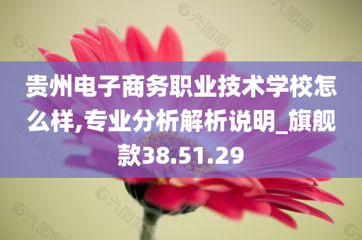 贵州电子商务职业技术学校怎么样,专业分析解析说明_旗舰款38.51.29