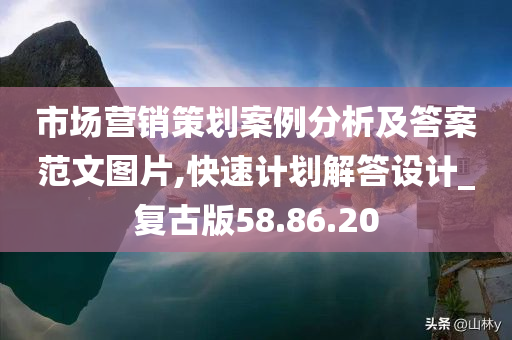 市场营销策划案例分析及答案范文图片,快速计划解答设计_复古版58.86.20