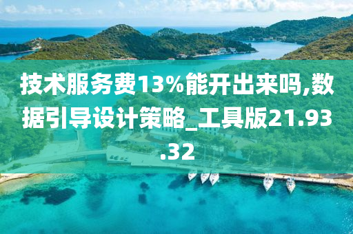 技术服务费13%能开出来吗,数据引导设计策略_工具版21.93.32