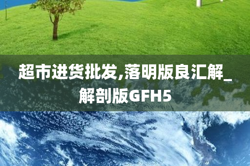 超市进货批发,落明版良汇解_解剖版GFH5