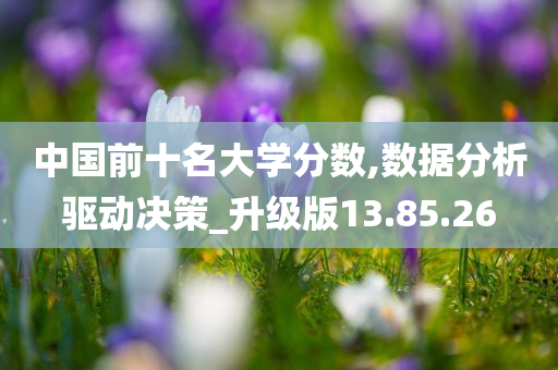 中国前十名大学分数,数据分析驱动决策_升级版13.85.26