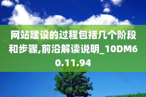 网站建设的过程包括几个阶段和步骤,前沿解读说明_10DM60.11.94