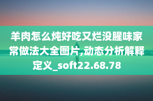 羊肉怎么炖好吃又烂没腥味家常做法大全图片,动态分析解释定义_soft22.68.78