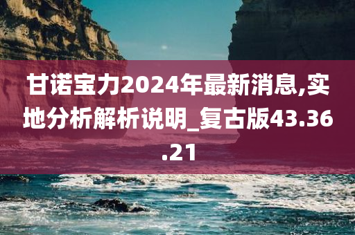 甘诺宝力2024年最新消息,实地分析解析说明_复古版43.36.21