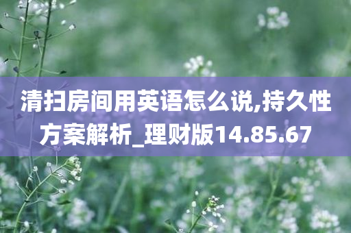 清扫房间用英语怎么说,持久性方案解析_理财版14.85.67