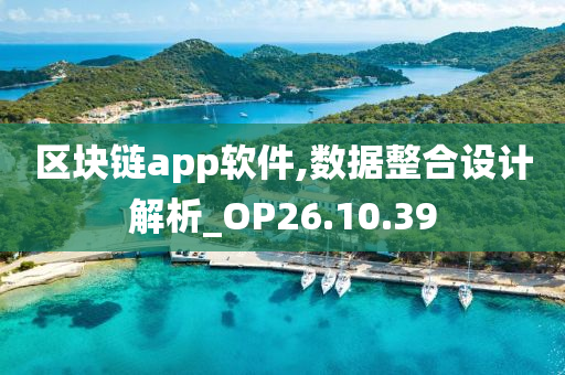 区块链app软件,数据整合设计解析_OP26.10.39