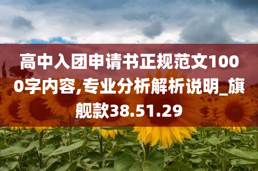 高中入团申请书正规范文1000字内容,专业分析解析说明_旗舰款38.51.29