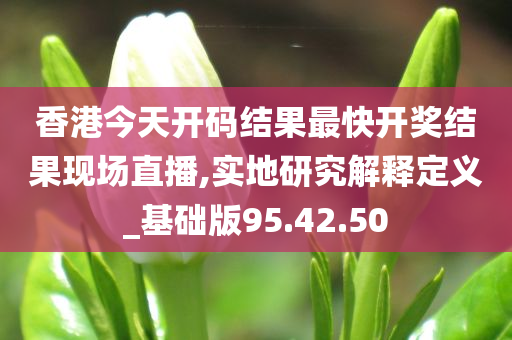 香港今天开码结果最快开奖结果现场直播,实地研究解释定义_基础版95.42.50