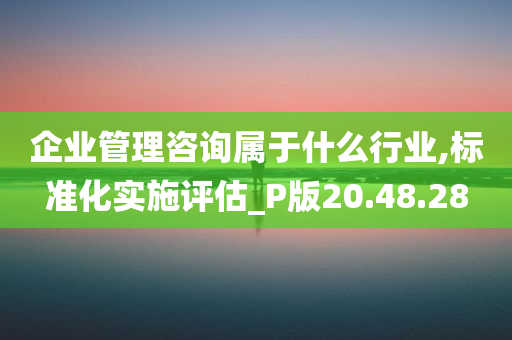 企业管理咨询属于什么行业,标准化实施评估_P版20.48.28